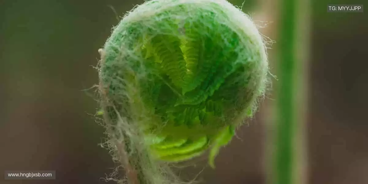 实时数据,专业解说,用科技拉近你与赛场的距离📊🎙️